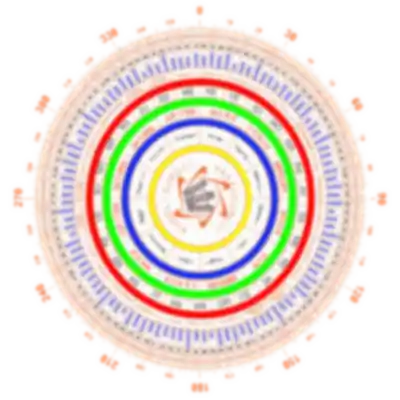 Wheel background guide